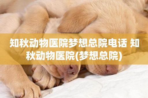 知秋動物醫院夢想總院電話 知秋動物醫院(夢想總院)