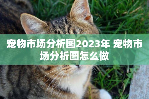 寵物市場分析圖2023年 寵物市場分析圖怎么做