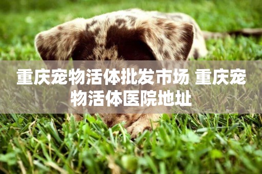 重慶寵物活體批發市場 重慶寵物活體醫院地址