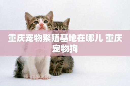 重慶寵物繁殖基地在哪兒 重慶寵物狗