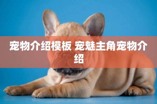 寵物介紹模板 寵魅主角寵物介紹