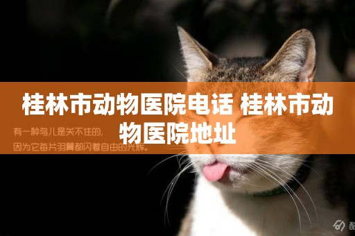 桂林市動物醫院電話 桂林市動物醫院地址