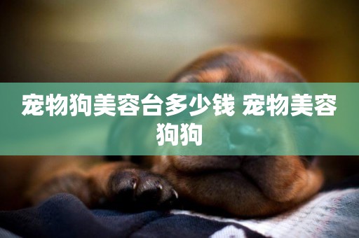 寵物狗美容臺多少錢 寵物美容狗狗