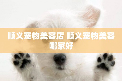 順義寵物美容店 順義寵物美容哪家好