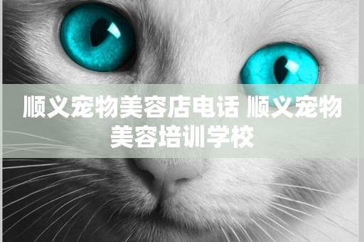 順義寵物美容店電話 順義寵物美容培訓學校