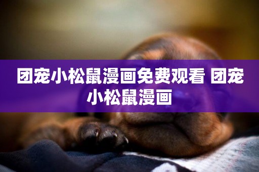 團寵小松鼠漫畫免費觀看 團寵小松鼠漫畫