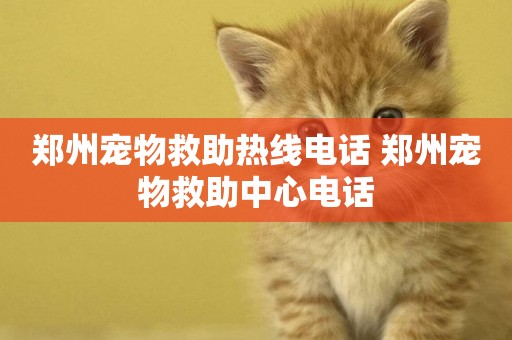 鄭州寵物救助熱線電話 鄭州寵物救助中心電話