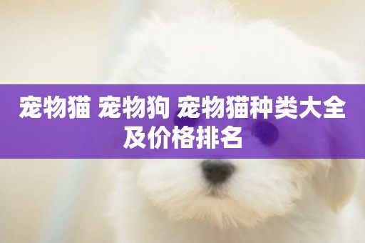 寵物貓 寵物狗 寵物貓種類大全及價格排名