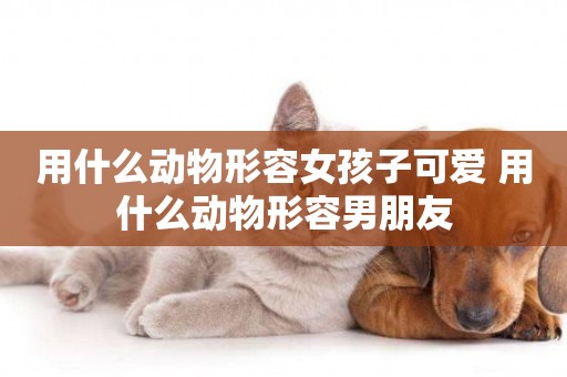 用什么動物形容女孩子可愛 用什么動物形容男朋友