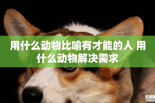 用什么動物比喻有才能的人 用什么動物解決需求