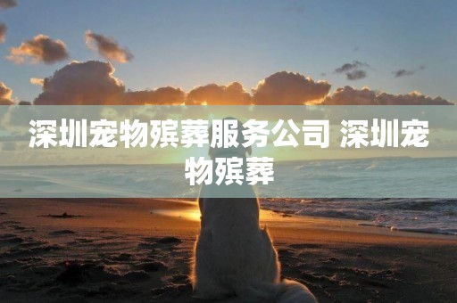 深圳寵物殯葬服務公司 深圳寵物殯葬