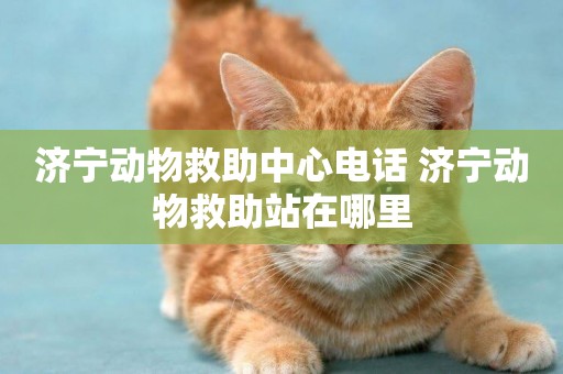 濟寧動物救助中心電話 濟寧動物救助站在哪里