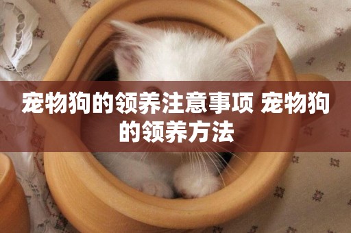 寵物狗的領養注意事項 寵物狗的領養方法