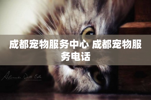 成都寵物服務中心 成都寵物服務電話