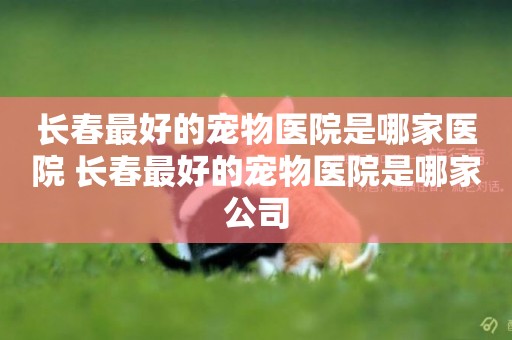 長春最好的寵物醫院是哪家醫院 長春最好的寵物醫院是哪家公司