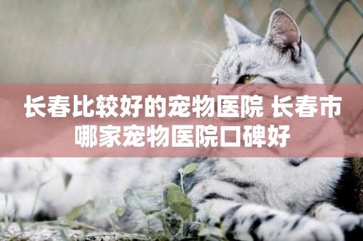 長春比較好的寵物醫院 長春市哪家寵物醫院口碑好