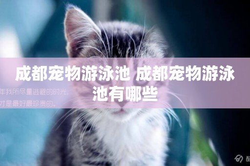 成都寵物游泳池 成都寵物游泳池有哪些