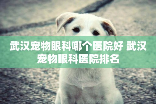 武漢寵物眼科哪個醫院好 武漢寵物眼科醫院排名