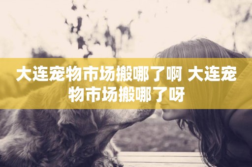 大連寵物市場搬哪了啊 大連寵物市場搬哪了呀