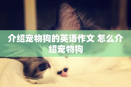 介紹寵物狗的英語作文 怎么介紹寵物狗