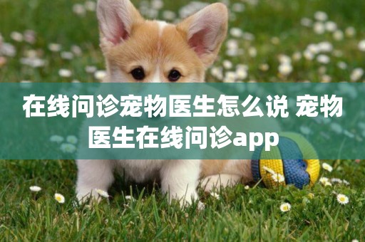 在線問診寵物醫生怎么說 寵物醫生在線問診app