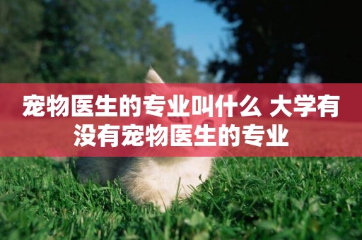 寵物醫生的專業叫什么 大學有沒有寵物醫生的專業