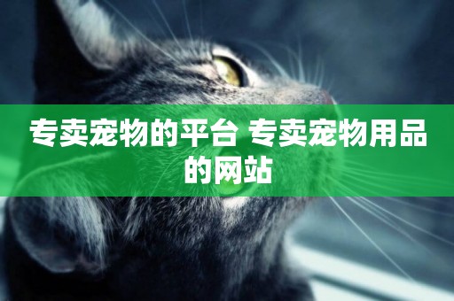 專賣寵物的平臺 專賣寵物用品的網站