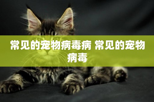 常見的寵物病毒病 常見的寵物病毒
