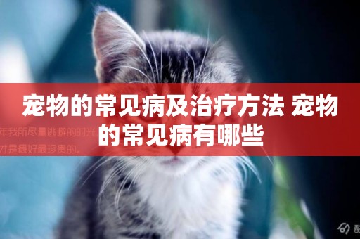 寵物的常見病及治療方法 寵物的常見病有哪些