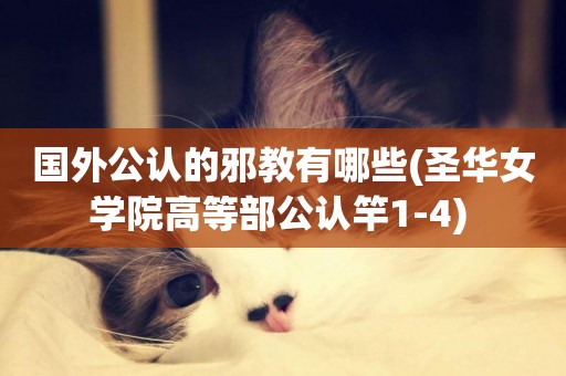 國外公認的邪教有哪些(圣華女學院高等部公認竿1-4) 