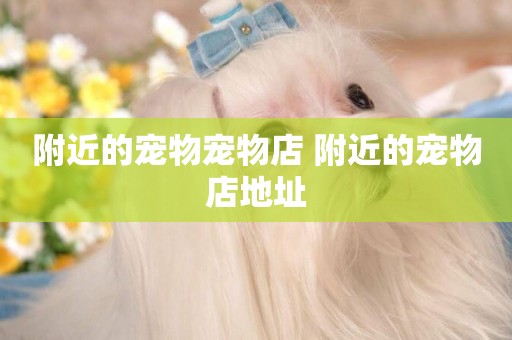 附近的寵物寵物店 附近的寵物店地址