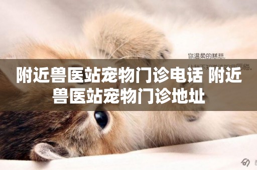 附近獸醫站寵物門診電話 附近獸醫站寵物門診地址