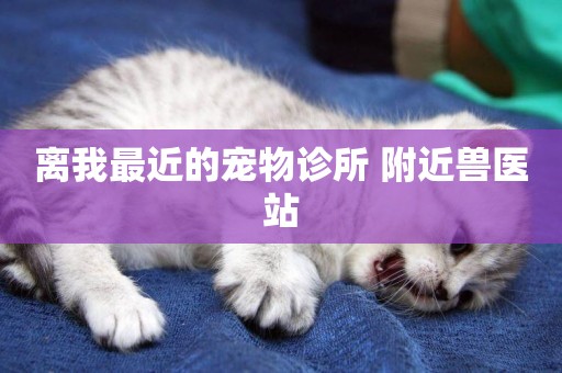 離我最近的寵物診所 附近獸醫站