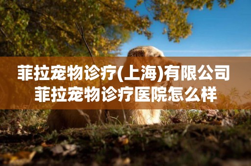 菲拉寵物診療(上海)有限公司 菲拉寵物診療醫院怎么樣