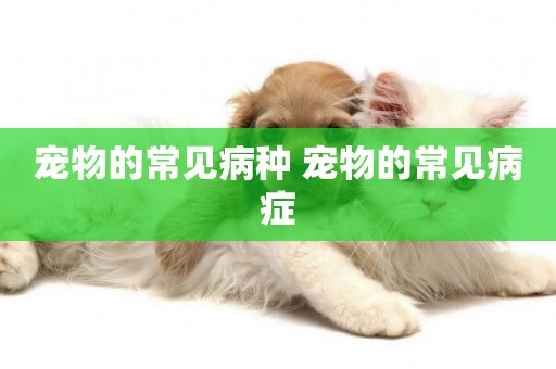 寵物的常見病種 寵物的常見病癥