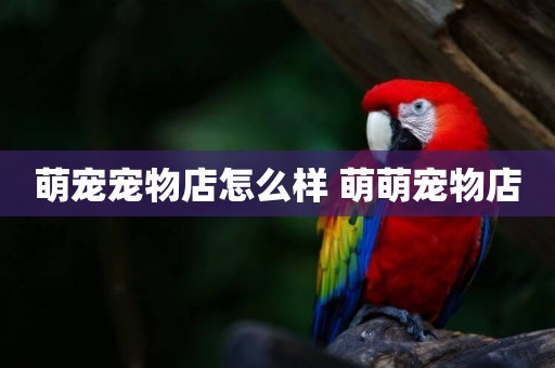 萌寵寵物店怎么樣 萌萌寵物店