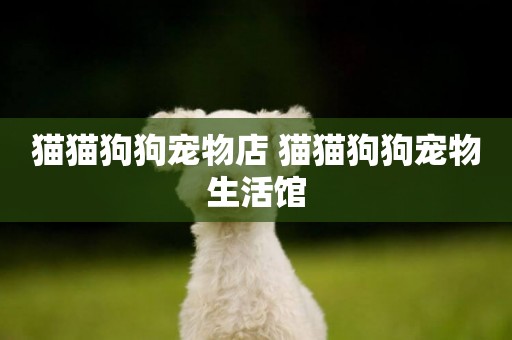 貓貓狗狗寵物店 貓貓狗狗寵物生活館