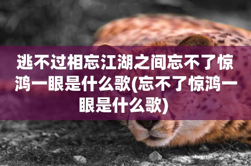 逃不過相忘江湖之間忘不了驚鴻一眼是什么歌(忘不了驚鴻一眼是什么歌) 