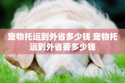 寵物托運到外省多少錢 寵物托運到外省要多少錢