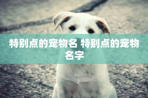 特別點的寵物名 特別點的寵物名字