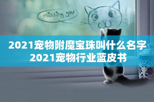 2021寵物附魔寶珠叫什么名字 2021寵物行業藍皮書