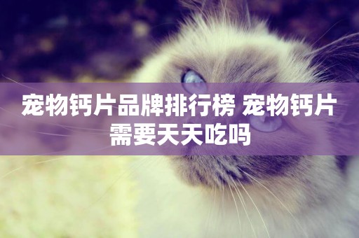 寵物鈣片品牌排行榜 寵物鈣片需要天天吃嗎