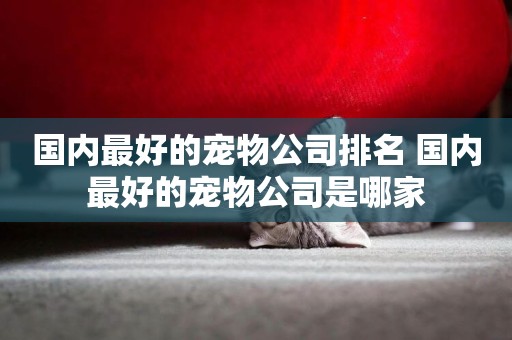 國內最好的寵物公司排名 國內最好的寵物公司是哪家