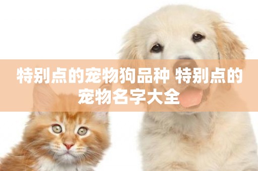 特別點的寵物狗品種 特別點的寵物名字大全