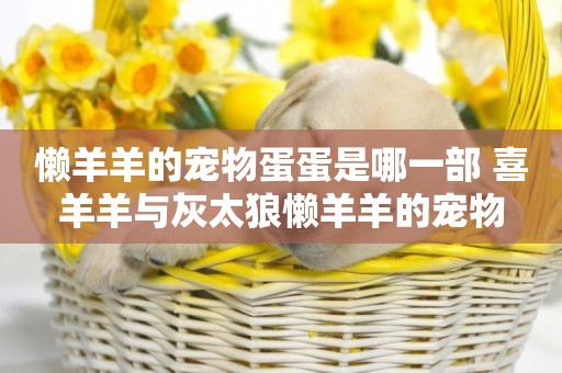 懶羊羊的寵物蛋蛋是哪一部 喜羊羊與灰太狼懶羊羊的寵物