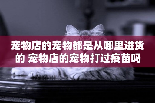 寵物店的寵物都是從哪里進貨的 寵物店的寵物打過疫苗嗎