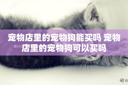 寵物店里的寵物狗能買嗎 寵物店里的寵物狗可以買嗎