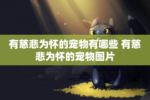 有慈悲為懷的寵物有哪些 有慈悲為懷的寵物圖片