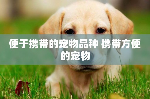 便于攜帶的寵物品種 攜帶方便的寵物