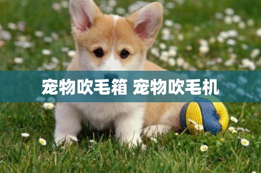 寵物吹毛箱 寵物吹毛機